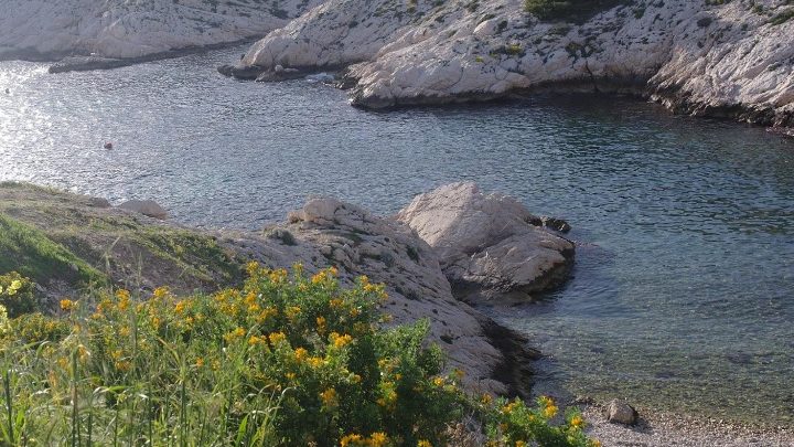 Le Frioul : belle île en ville