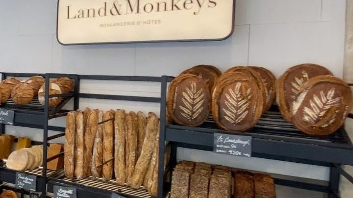 Land&Monkeys, boulangeries 100% végétales