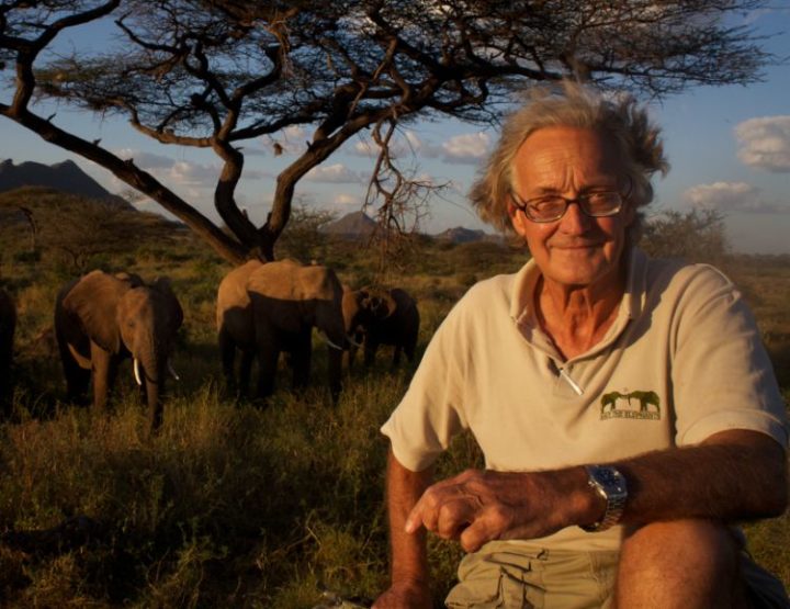 Une vie parmi les éléphants