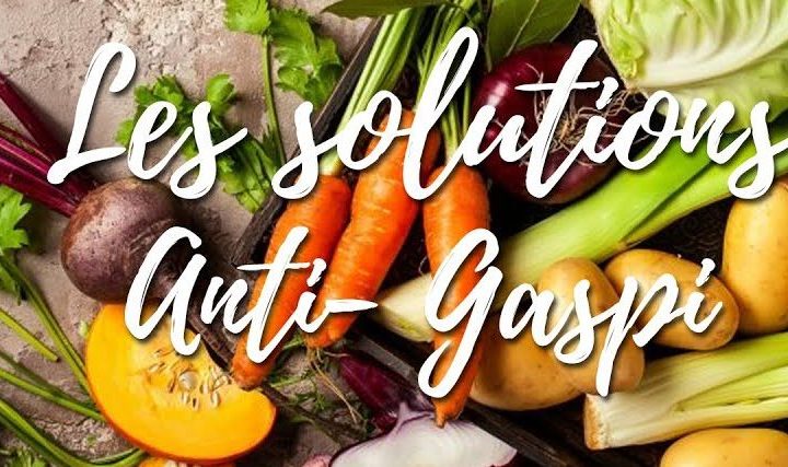 Anti-gaspillage alimentaire sur le Vieux-Port