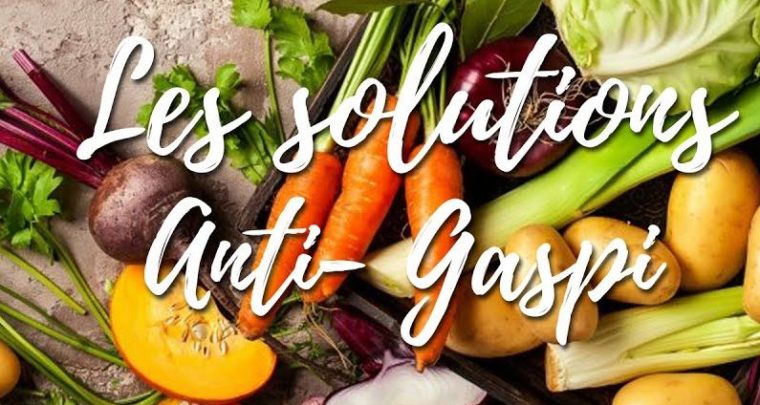 Anti-gaspillage alimentaire sur le Vieux-Port