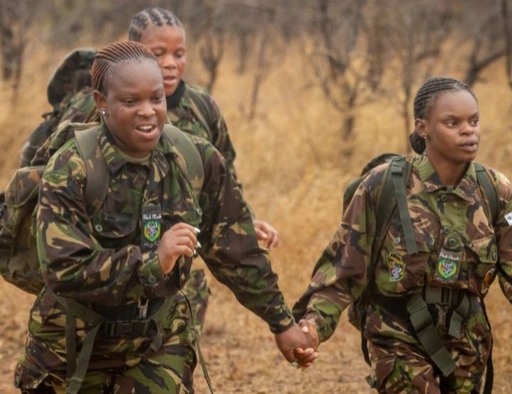 Les Black Mambas, la chasse aux braconniers