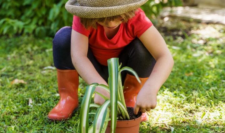 Rencontre Ecologie & Petite Enfance Label Vie