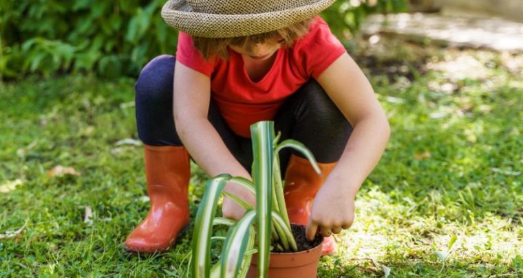 Rencontre Ecologie & Petite Enfance Label Vie