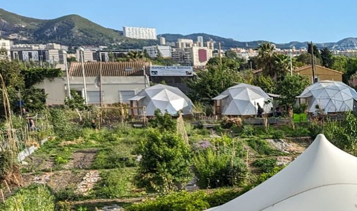 Formation pour démarrer son potager au Talus